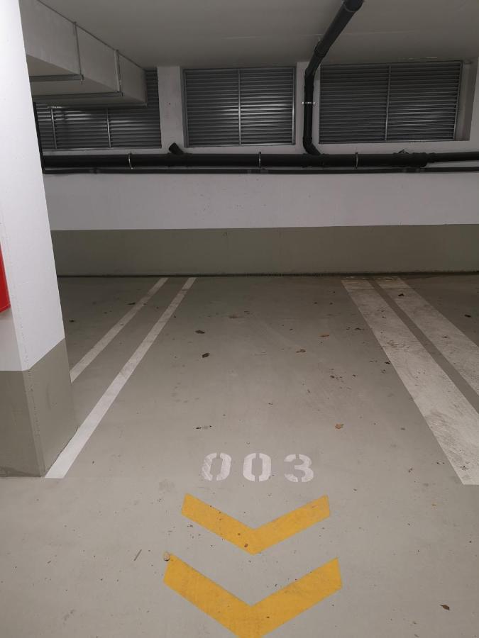 Rooftop Terrace, Free Garage Parking And Pool! Виена Екстериор снимка